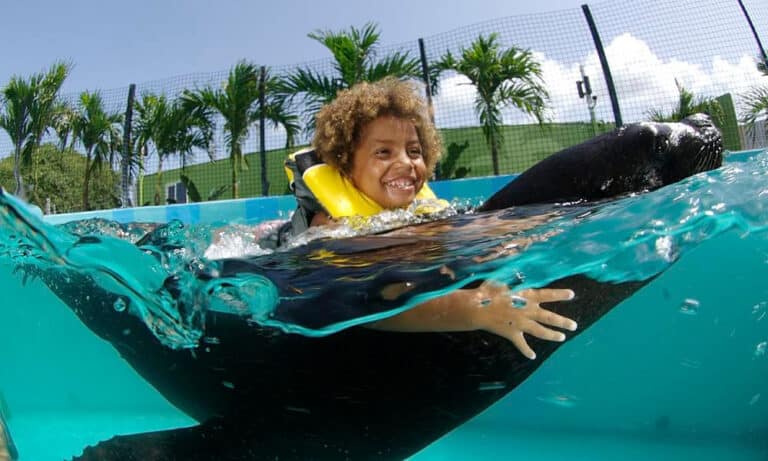 Book a Sea Lion Swim at Coral World during your St. Thomas vacation. Pictured here is a young boy about 8 years old with his arms wrapped around a swimming sea lion.
